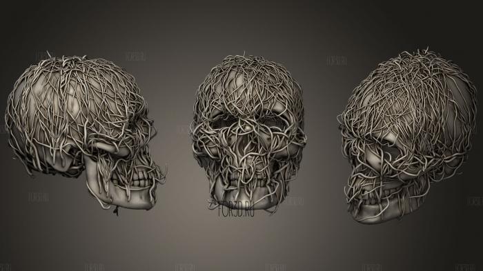 Skull and ivy free stl model for CNC